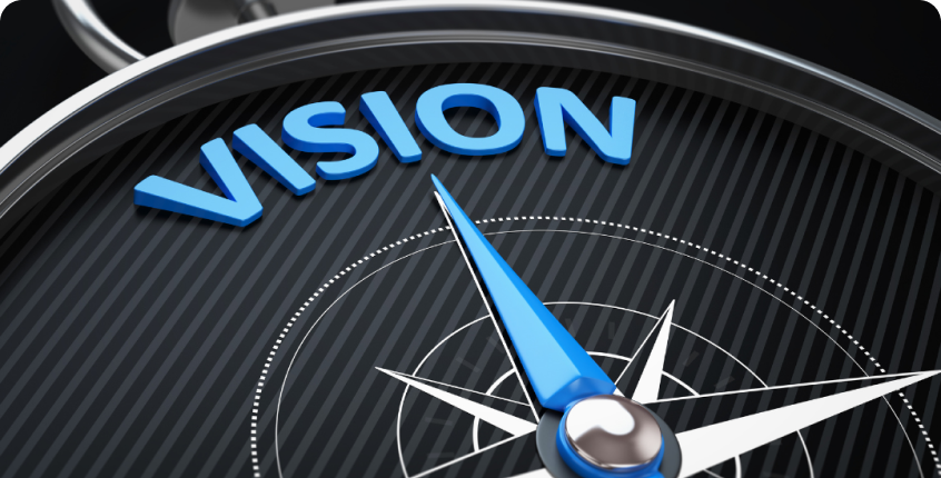 vision